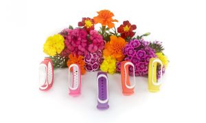 Xiaomi Mi Band vasaros spalvų kolekcija_5